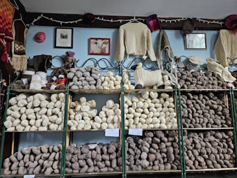 Display of Skeins of Finn Yarn (2-ply, 3-ply and Lopi).